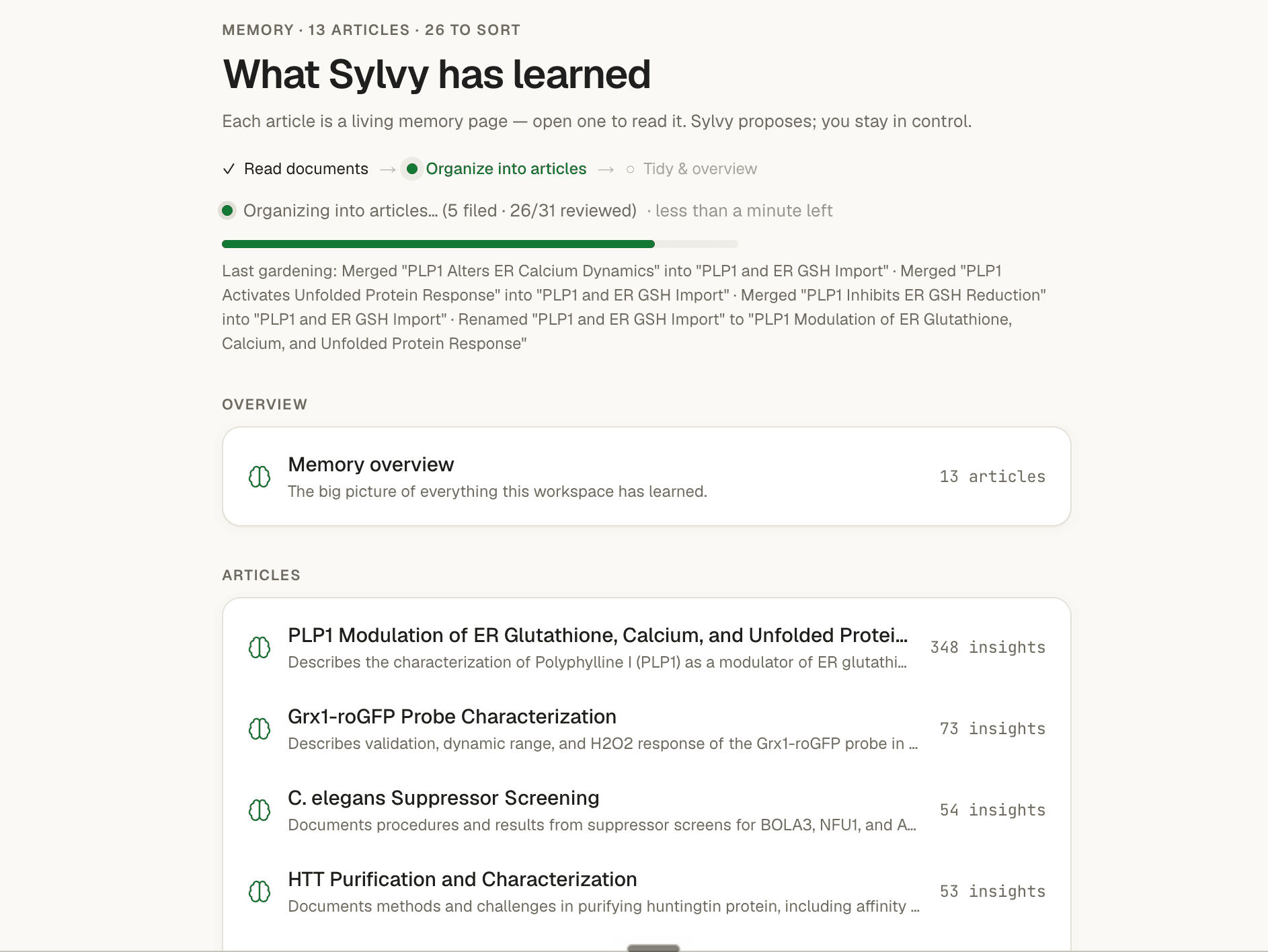 Sylvy memory screen